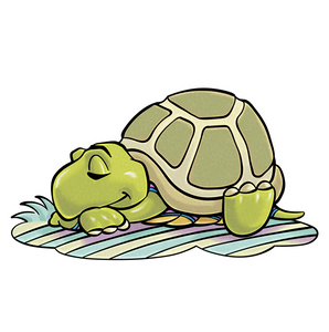 Sleepy Turtle